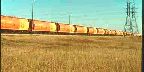 CN train and federal grain cars, Saskatchewan